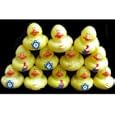 One Dozen (12) Hanukkah Rubber Duckys