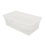Cargo Space Master Clear Box with Lid Small