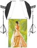 2 PROFESSIONAL STROBE LIGHTING KITS FOR PHOTO STUDIO PHOTOGRAPHY