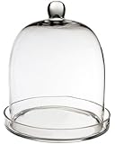 Glass Cloche, 11 inches Height Plant Terrarium. (1 pc)