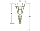 Treated Pine 3' Rose Trellis