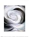 Abstraction White Rose by Georgia O'keeffe - Fine Art Print / Poster - 11.00 x 14.00