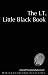 The IT Little Black Book: Pocket Advisor