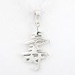 Asian LONG LIFE Symbol Pendant in Sterling Silver on a 16" Box Chain, #8481