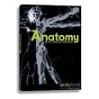 Sonivox Anatomy