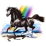 Black Horse W/ Rainbow Adult T-Shirt