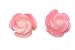 Beautiful Coral Carved Pink Rose Stud Earrings on 925 Sterling Silver Posts Comes Gift Boxed