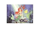 Ariel, Listen To Me by Disney Art Print Poster 14 x 11