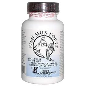 buy amoxil buy amoxil