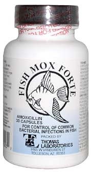 Buy Fish-Mox Forte (Amoxicillin) 500mg (30 capsules)