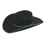 Bailey Western Flash Hat 