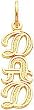 10K Yellow Gold Dad Charm