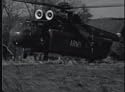 The 1st Cavalry Airmoble Division