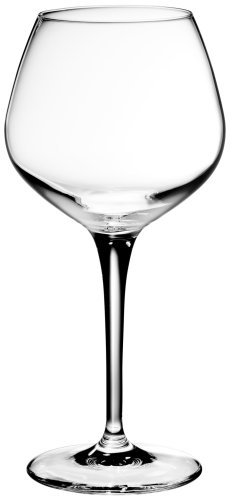 Bormioli Rocco Symposium Wine Bar Glass, Set of 4