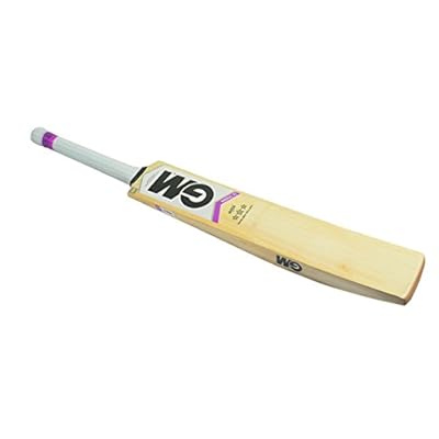 GM Mogul F2 404 English Willow Cricket Bat SH