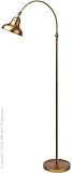 Lite Source Higgins Floor Lamp LS-8179BRZ