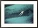 Aerial view of a motorboat speeding over the Caribbean Subject Framed Art Poster Print by Kenneth Garrett, 29x21