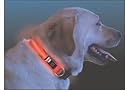 Nite Dawg L.E.D. Collar, Orange, Small