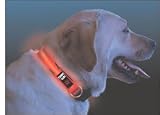 Kitchen & Housewares : Nite Dawg L.E.D. Collar
