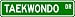 Taekwondo Street Sign ~ Martial Arts Gift ~ Aluminum