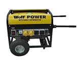 Review Wolf  / Wolf WP3500 Dual Voltage Generator 2800 Watt