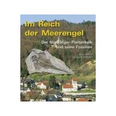 Im Reich der Meerengel: Der Nusplinger Plattenkalk und seine Fossilien