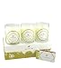 The Lights of Diwali Floral Scented Votives Set of 3 by Sundari