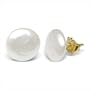 14K yellow gold Coin Stud Freshwater cultured pearl earrings