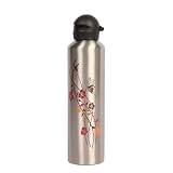 BotlStandardMouthStainlessSteelWaterBottle(FlowerButterfly/StainlessSteel,32-Ounce)