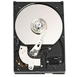 Western Digital 250 GB Caviar Blue 100 Mb/s 7200 RPM 8 MB Cache Bulk/OEM Desktop Hard Drive - WD2500AAJB