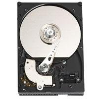 Western Digital 250 GB Caviar Blue 100 Mb/s 7200 RPM 8 MB Cache Bulk/OEM Desktop Hard Drive - WD2500AAJB