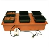 3127hCfBA7L. SL160  Emilys Hydroponic Garden System