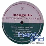 Don't You Worry About a Thing [12 inch Analog]