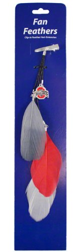 Ohio State Buckeyes Fan Feather Hair Clip