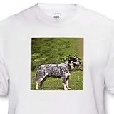 Australian Cattle Dog - Toddler T-Shirt (3T)