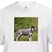 Australian Cattle Dog - Toddler T-Shirt (3T)
