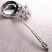 ACORN PUNCH LADLE - SILVER PLATED ACORN DESIGN PUNCH LADLE IN VELVET BOX