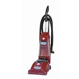 Dirt Devil Vacuums CE7300 Easy Steamer Extractor
