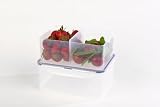 Review Lock & Lock HPL825C / Lock & Lock Stackable Airtight Container Rectangular 2.3L (with Divider)