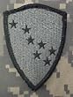 Alaska National Guard ACU Patch - Foliage Green