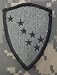 Alaska National Guard ACU Patch - Foliage Green
