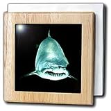Fiece Shark - 6 Inch Tile Napkin Holder