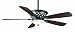 Casablanca C25G624F Twain Outdoor Ceiling Fan, Bullion Black