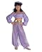 Aladdin Disney Jasmine Enchanted Role Play Deluxe Child Costume Image