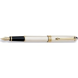 Aurora Pens 88 Sterling Silver Fountain Pen (Extra Fine)