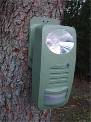 P3 International Deer Chaser Green - P7840