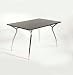 Chrome / Nat Finish Rhonda Small Rectangular Wood Dining Top By Euro Style Furniture