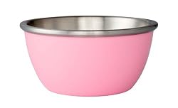 Zak Designs Pink 5-Inch Gemini Ice Cream Bowl