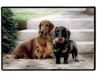 image link - - B001BZKV66