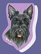 Scottish Terrier Sticky Notes Notebook